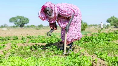 Sudan food aid to run out in March, UN warns