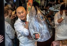Sushi chain pays record .2 million for tuna
