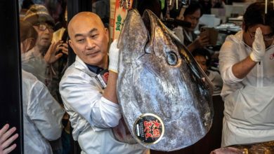Sushi chain pays record .2 million for tuna