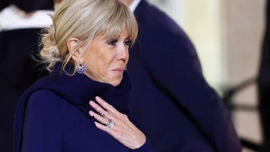 Ten convicted for cyber-bullying Brigitte Macron Ten convicted for cyber-bullying Brigitte Macron