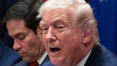 Trump sues his own government for  billion over tax leak to ‘leftist media’