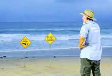 shark attacks: Australia shuts dozens of beaches