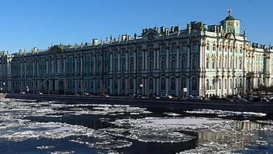 Ermitaż przesłał dokumenty w celu ochrony Butyagina, który był aresztowany w Polsce.