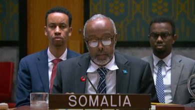 Dowladda Mareykanka ayaa xaqiijisay in safiirka Soomaaliya ee Qaramada Midoobay uu ku xiran yahay shirkad caafimaad oo lagu helay dambiyo ay gashay Medicaid