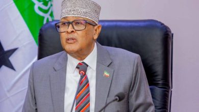 Somaliland oo cambaaraysay hadalkii ka soo yeedhay wasiirka gaashaandhigga Soomaaliya ee faragelinta milateri ee Sucuudiga