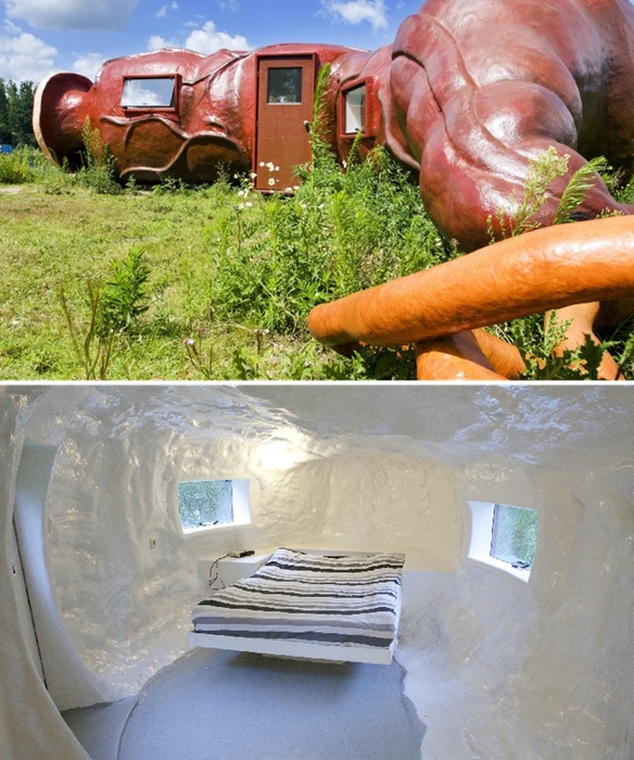 The curved interior of the "gut" has been transformed into a cozy room.
