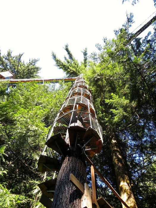 The Observatory Observatory is a thrilling attraction (Cedar Creek).